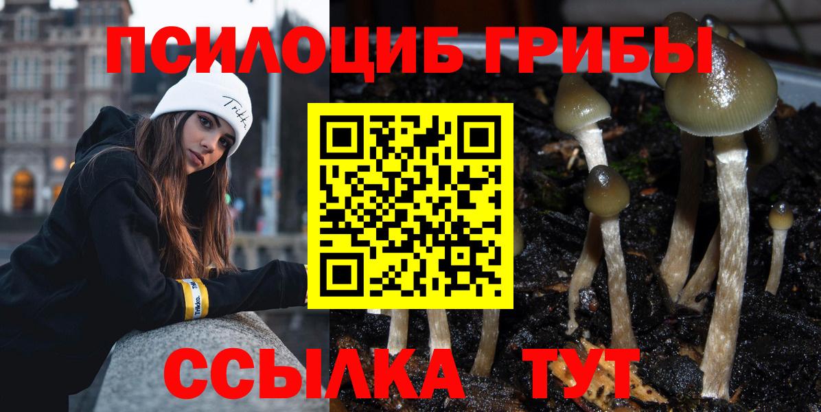 Малгобек  Псилоцибиновые грибы мухоморы  Вход с VPN 