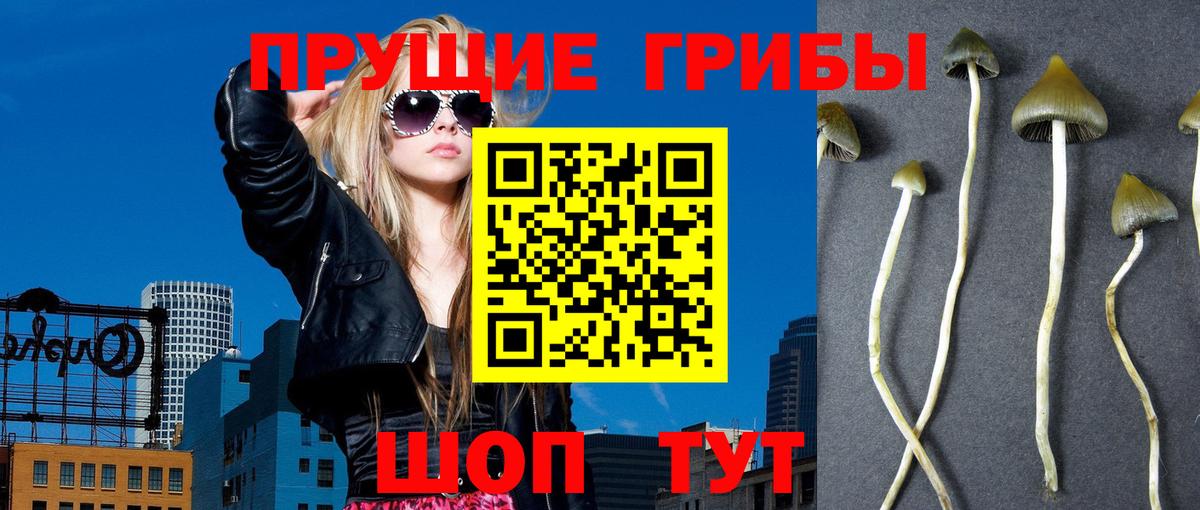 Галлюциногенные грибы мухоморы Малгобек